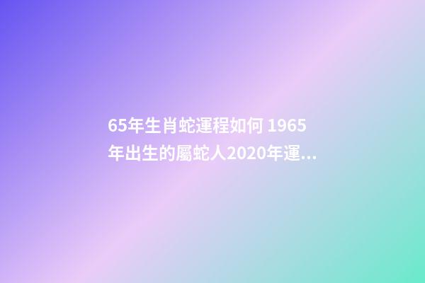 65年生肖蛇運程如何 1965年出生的屬蛇人2020年運勢-第1張-觀點-玄機派